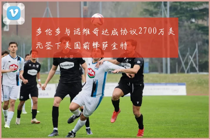 多伦多与诺维奇达成协议2700万美元签下美国前锋萨金特