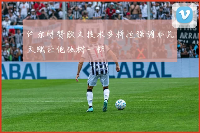 许尔特赞欧文技术多样性强调非凡天赋让他独树一帜